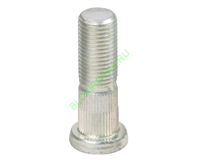 303819-3_ID_LR.jpg