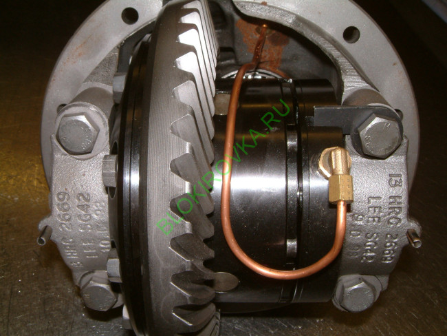 D901 001dd.jpg D901 001dd.jpg