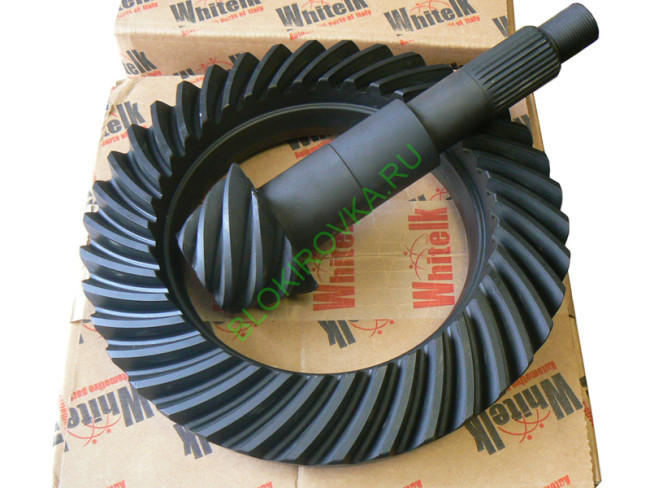 whitelk-nissan-safari-patrol-5-43-ring-pinion-front81.jpg