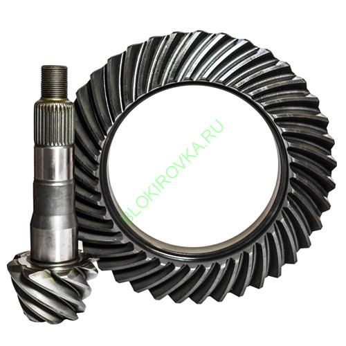 T9.5-488-NG-2Tsv.jpg