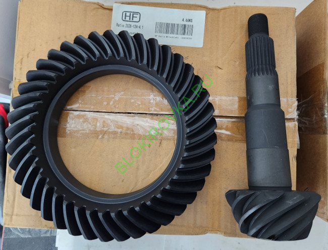 hf-2028-4.1.jpg