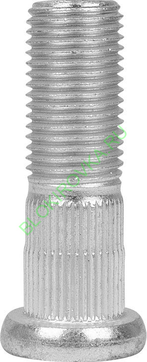 tgi-307307_alt03.jpg tgi-307307_alt03.jpg