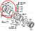 toyota-land-cruiser-80-fetr.jpg