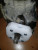 20150410_152415.jpg