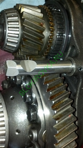 MCTC-1131-3.jpg MCTC-1131-3.jpg