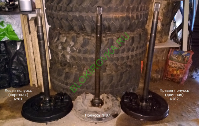 PcAAAgPYxOA-1920.jpg PcAAAgPYxOA-1920.jpg