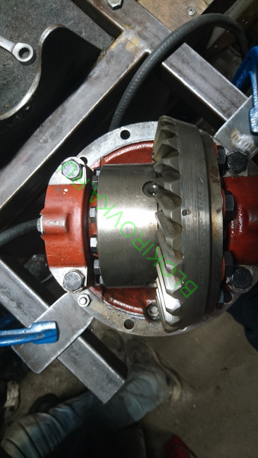volvo-c303-4-pinion-differential.jpg