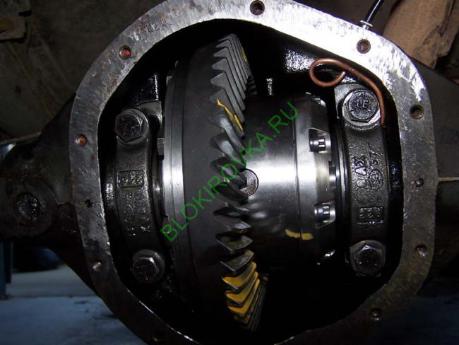 ziplocker_062709_021_copy70.jpg ziplocker_062709_021_copy70.jpg