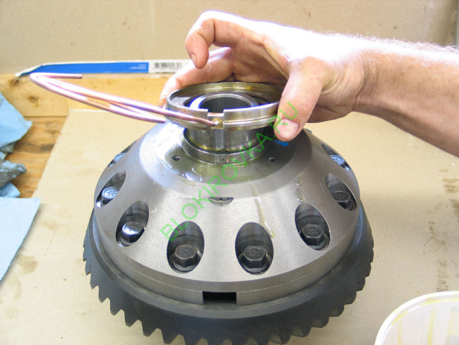 IMG_3764k4.jpg IMG_3764k4.jpg