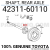 4231160110-COVER.png