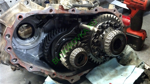 MCTC-1131-4mw.jpg MCTC-1131-4mw.jpg