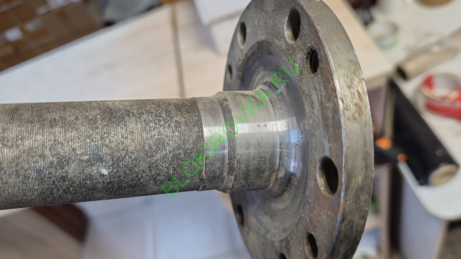 IMG-20221025-WA0030.jpeg IMG-20221025-WA0030.jpeg