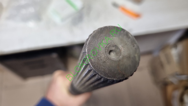 IMG-20221025-WA0028.jpeg IMG-20221025-WA0028.jpeg