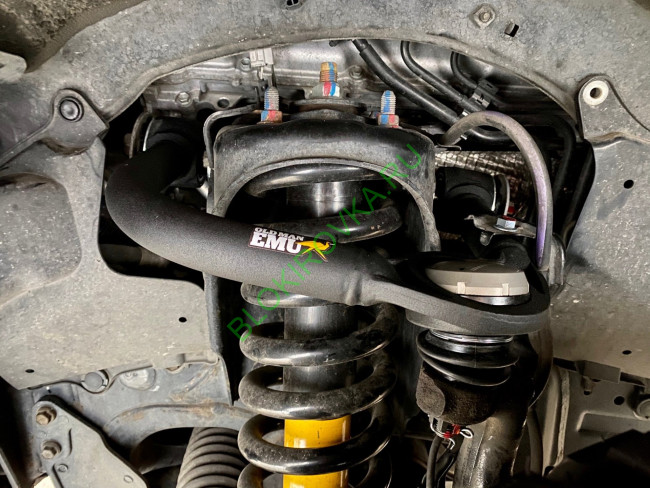 OME-ucads95.jpg OME-ucads95.jpg