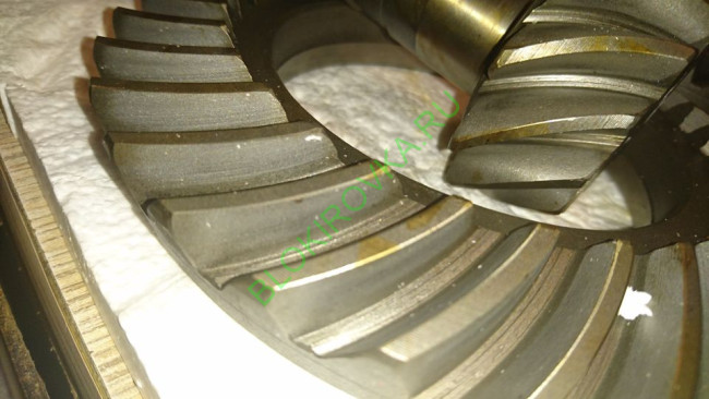 hub_0089.jpg hub_0089.jpg