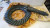 DSC_0022r3.JPG