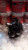 px5gf93zlbkosc80oow0cc0wo804ss.jpg