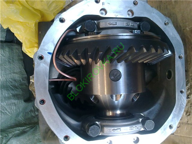 cbfc2265cb6f.jpg cbfc2265cb6f.jpg