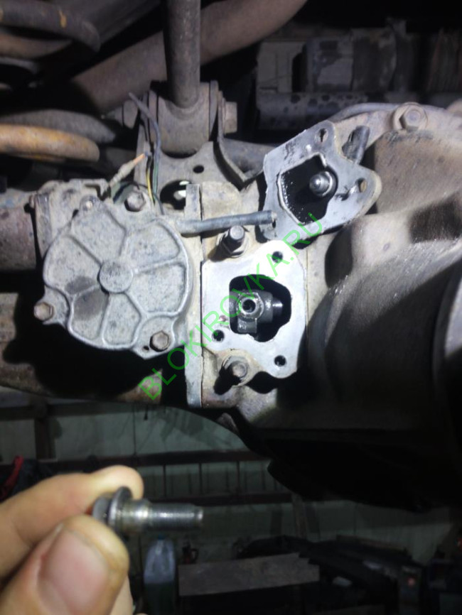 rvk95-216.jpg rvk95-216.jpg